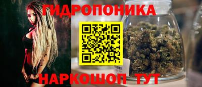 мяу мяу мука Нарткала